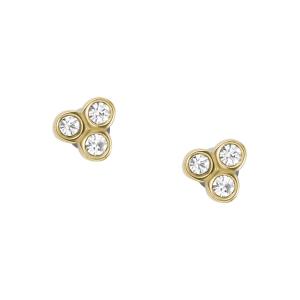 Fossil JF04110710 EARI