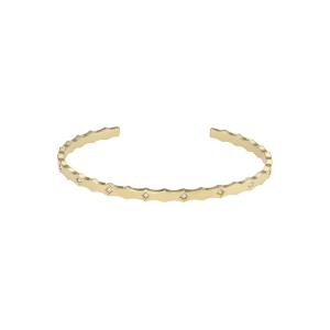 Fossil JF04379710 BRAC