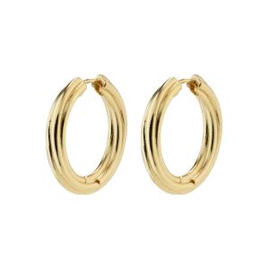 Pilgrim 662312083 EARI