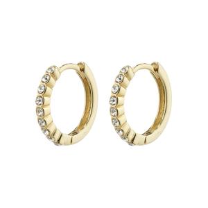 Pilgrim 822212013 EARI