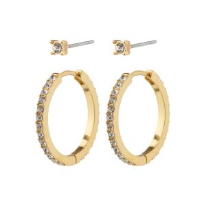 Pilgrim 832312013 EARI