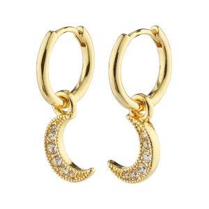 Pilgrim 832412013 EARI