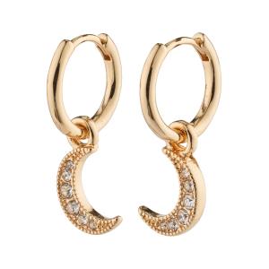 Pilgrim 832414013 EARI