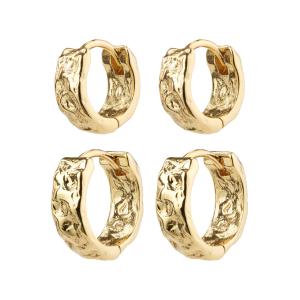 Pilgrim 842312003 EARI