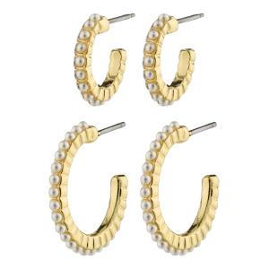 Pilgrim 842412003 EARI