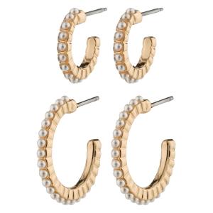 Pilgrim 842414003 EARI