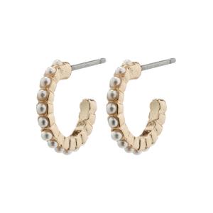 Pilgrim 692214073 EARI