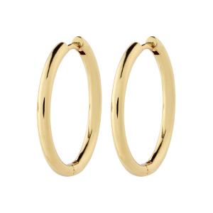 Pilgrim 402432043 EARI