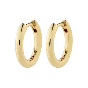 Pilgrim 402432033 EARI