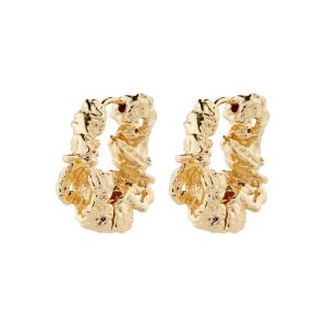 Pilgrim 102432003 EARI